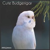 Cute Budgerigar 2022 Calendar