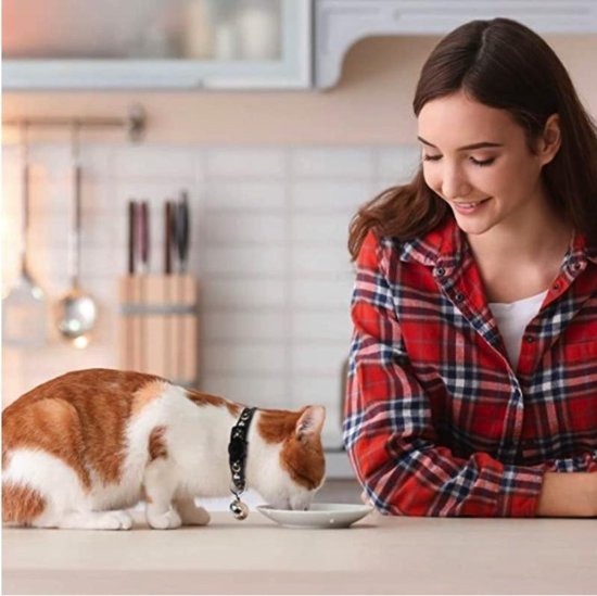 Ace Pets - Collier pour chat avec cloche - Réfléchissant - Fermoir de  sécurité -... | bol.com