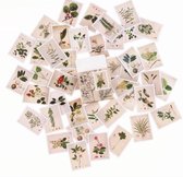 45 Stickers Vorm Postzegel - Plants Of Coast - A004 - Voor Scrapbook Of  Bullet Journal - Thema Plant en Groen Sticker - Stickers Voor Volwassenen En Kinderen - Agenda Stickers - D