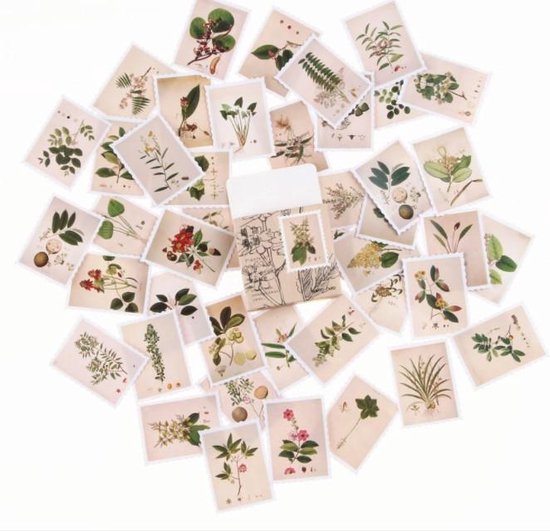 45 Stickers Vorm Postzegel – Plants Of Coast – A004 – Voor Scrapbook Of Bullet Journal – Thema Plant en Groen Sticker – Stickers Voor Volwassenen En Kinderen – Agenda Stickers – Decoratie Stickers