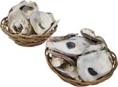 Decoratie schelpen - Deco schelp - Knutsel schelpen - In houten bakje - Set van 2