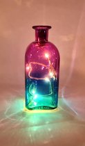 Cactula super duper leuke Dip Dye flessen met Led verlichting voor binnen of buiten! | Roze / Blauw
