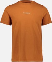 Silvercreek  Logo T-shirt  Mannen Beige Camel