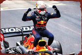 Max Verstappen - Formule 1 - metalen poster - bord - redbull - red bull racing - red bull - Redbull racing - Max Verstappen - Verstappen - formula 1 - F1 - mancave - F1 2021