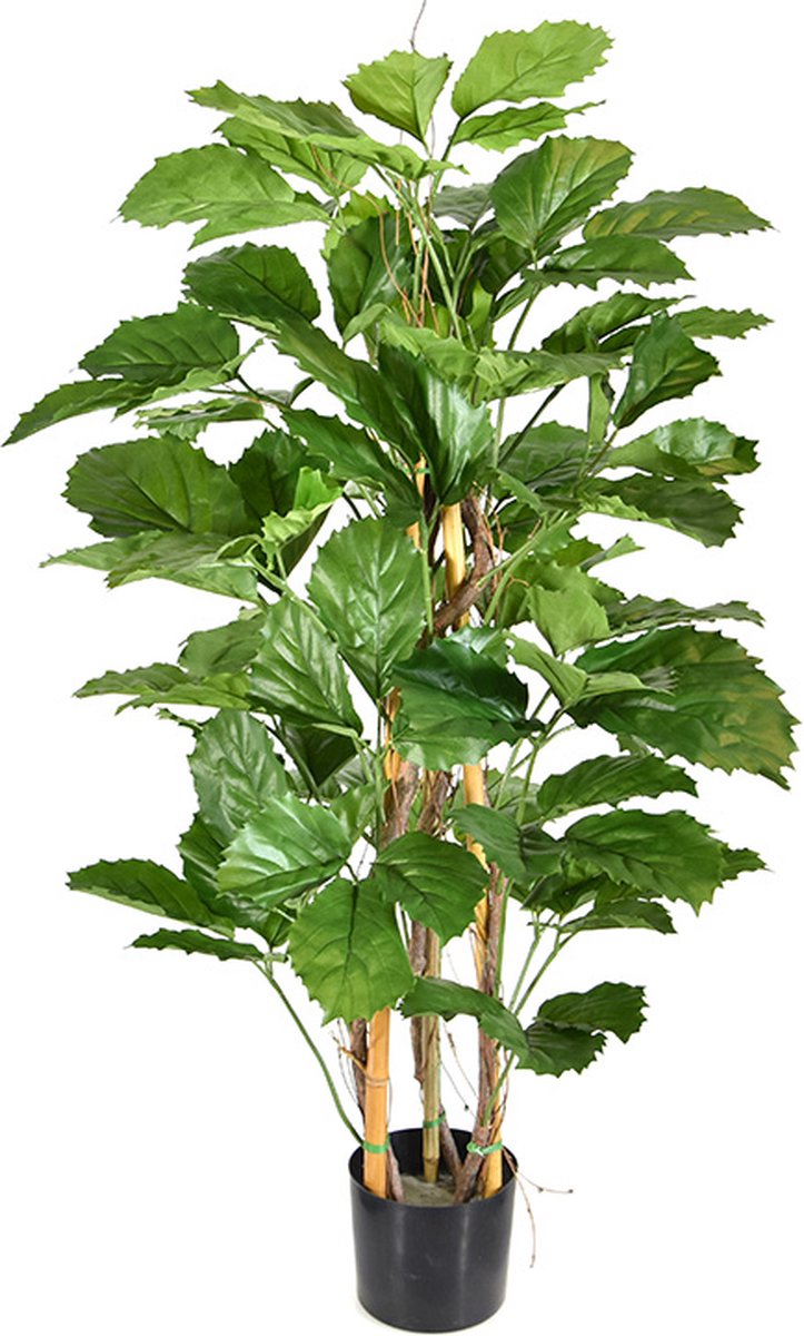 maxifleur Kunstplanten Tetrastigma kunstplant 120cm Groen