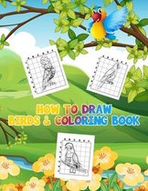 How to Draw Birds & Coloring Book