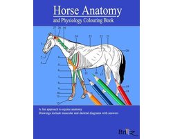 Horse Anatomy and Physiology Colouring Book