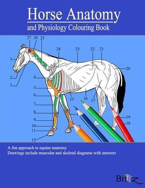 Horse Anatomy and Physiology Colouring Book - cover