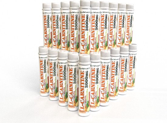 lemon bottle fat dissolver ingredients L CARNITINE LIQUID – Flex Wheeler