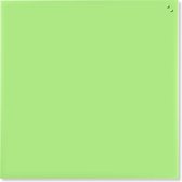 NAGA Magnetisch Glasbord Licht Groen 100 x 100 cm