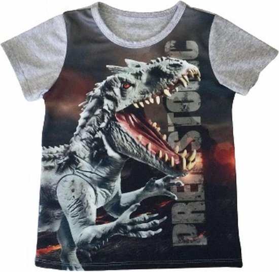 S&C dinosaurus t-shirt - Dino shirt - Prehistoric - grijs - maat 134/140 (12)