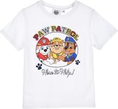 T-shirt Paw Patrol maat 104/110