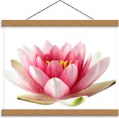 Schoolplaat – Roze met Witte Lotus Bloem - 40x30cm Foto op Textielposter (Wanddecoratie op Schoolplaat)