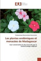 Les plantes endémiques et menacées de Madagascar