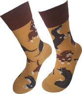 Verjaardag cadeautje voor hem en haar - Teckel Sokken - Honden Sokken - Leuke sokken - Vrolijke sokken - Luckyday Socks - Sokken met tekst - Aparte Sokken - Socks waar je Happy van