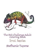 The BIG Challenge Adult Coloring Book