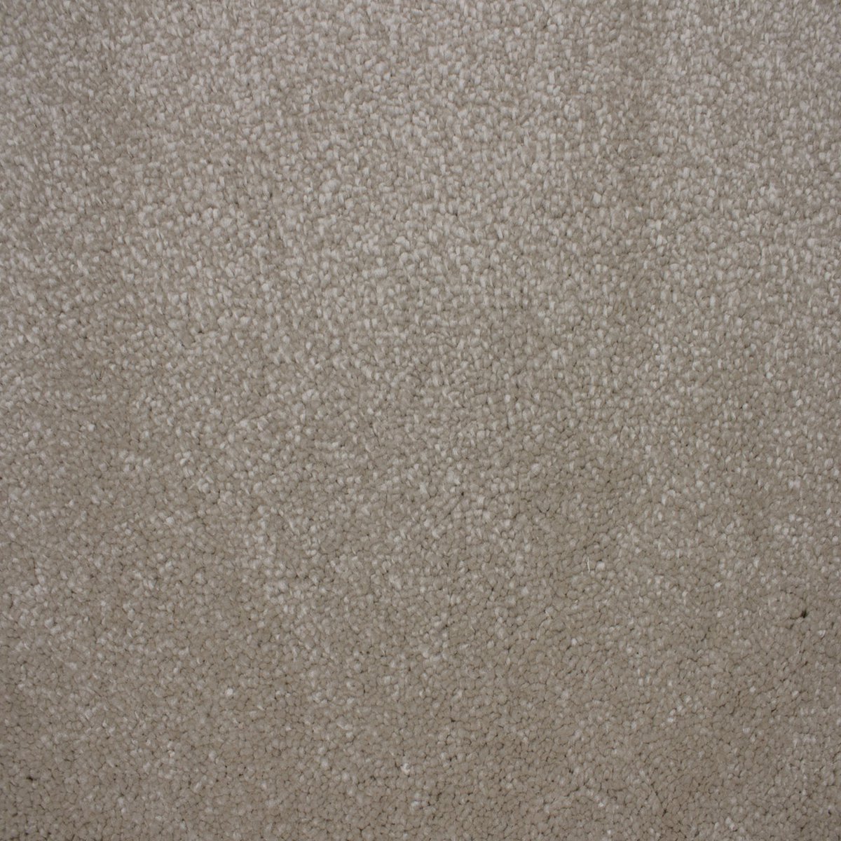 Vloerkleed Xilento Soft Melange | 200 x 300 cm