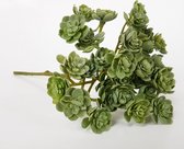 Cozinezz - kunstplant Echeveria - groen - 20 cm hoog