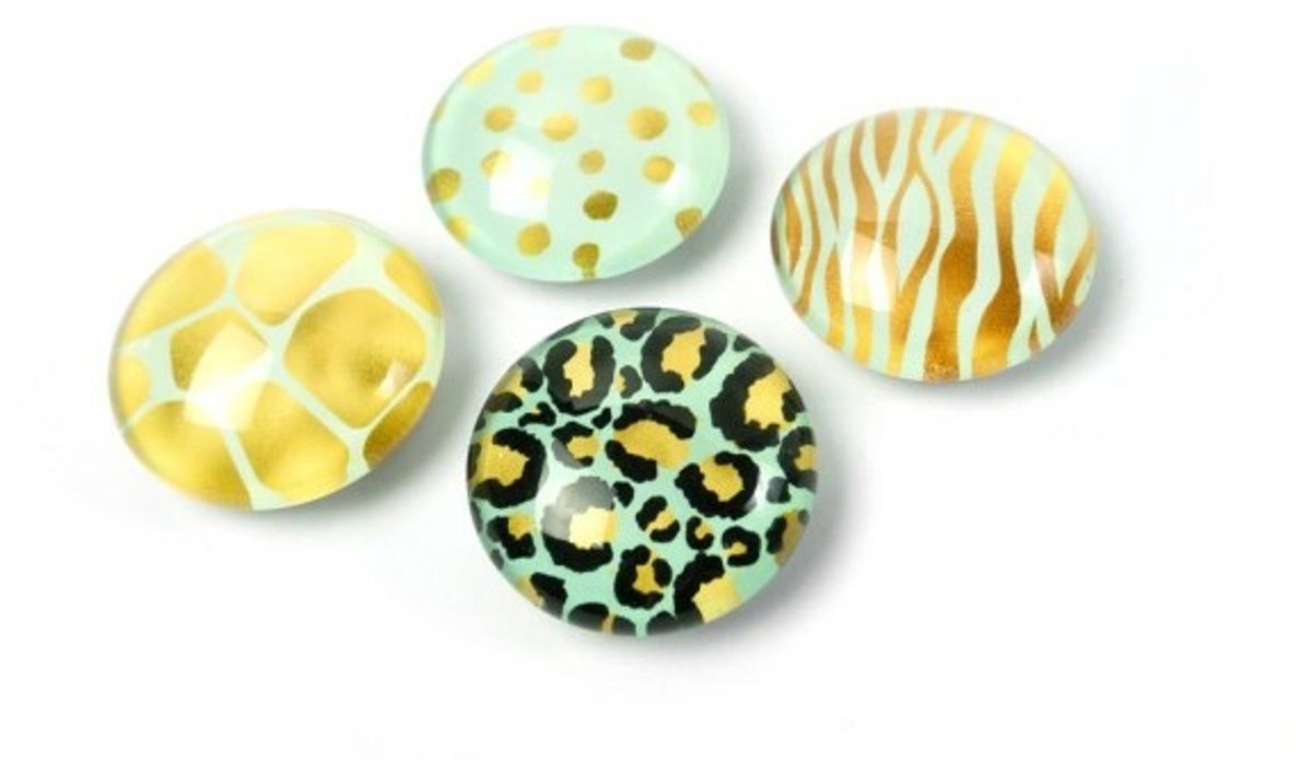 Trendform Wild Eye magneten set 4 stuks