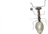 Decoratief Beeld - Metal Natural Mesh Small Ant - Metaal - Zimba Arts - Grijs En Zilver