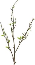By Kohler Sping Twig Groen 12x4x101cm (112146)