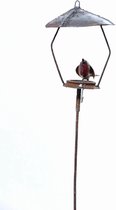 METAL ROBIN BIRDFEEDER ON STICK