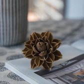 Gedroogde Lotus Knoppen Decoratie voor binnenhuis - M - brown