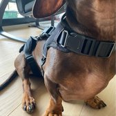 Toby's Tribe Revalidatie harnas Hond - Draagsysteem Hond - Full-body Harnas - Ondersteuning na operatie  - Revalidatietuig - Maat XS