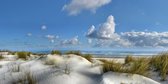 Blonde duinen met wolken op Ameland - foto op 120 x 60 cm aluminium