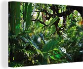 Canvas Schilderij Prachtige patronen van bladeren en bomen in een regenwoud - 30x20 cm - Wanddecoratie