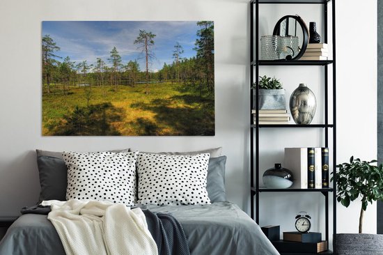 Grands arbres sur la bruyère dans le parc national de Skuleskogen en Suède Toile 120x80 cm - Tirage photo sur toile (Décoration murale salon / chambre)