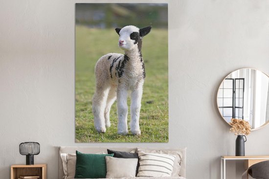 Petite toile blanche avec agneau noir dans l'herbe 120x180 cm - Tirage photo sur toile (Décoration murale salon / chambre) / Animaux de la ferme Peintures sur toile XXL / Grand format!