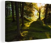 Canvas Schilderij Doorbrekende zon in de bossen van het Nationaal park Peak District - 90x60 cm - Wanddecoratie