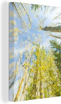 Canvas Schilderij Reusachtige bomen in het Nationaal park Sierra de Guadarrama in Spanje - 80x120 cm - Wanddecoratie