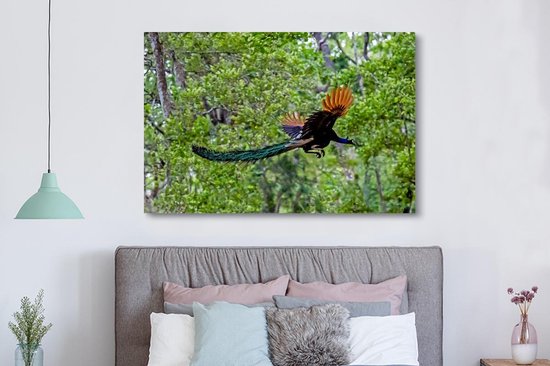 Paon coloré vole à travers les bois Toile 180x120 cm - Tirage photo sur toile (Décoration murale salon / chambre) XXL / Groot format!