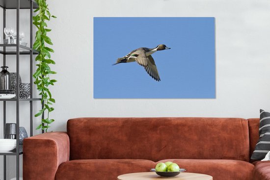 Canard pilet en vol sur toile 120x80 cm - Tirage photo sur toile (Décoration murale salon / chambre)