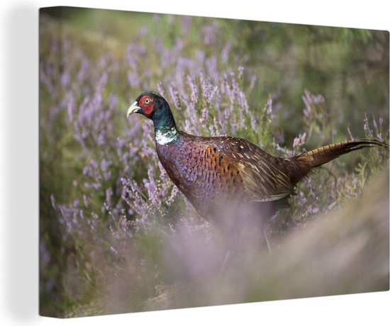 Canvas Schilderij Fazant - Bloemen - Gras - 30x20 cm - Wanddecoratie