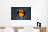 Canvas Schilderij Een Zonparkiet zit in een nest in een boom - 90x60 cm - Wanddecoratie