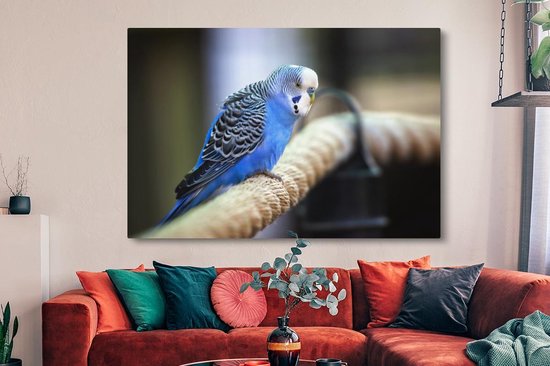 Canvas schilderij 150x100 cm - Wanddecoratie Knalblauwe parkiet op een dik touw - Muurdecoratie woonkamer - Slaapkamer decoratie - Kamer accessoires - Schilderijen