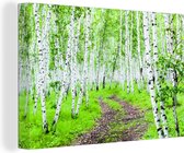 Canvas Schilderij Een bos met ruwe berken - 30x20 cm - Wanddecoratie