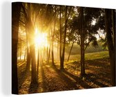 Le soleil d'automne se lève dans une forêt sombre Toile 30x20 cm - petit - Tirage photo sur toile (Décoration murale salon / chambre)