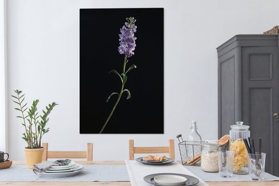 Une toile violette de couleur violette sur fond noir 90x140 cm - Tirage photo sur toile (Décoration murale salon / chambre) / Peintures Fleurs sur toile