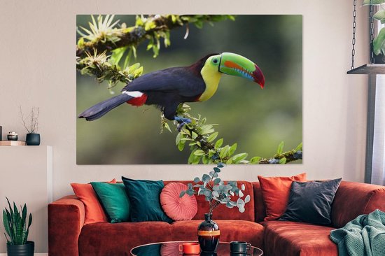 Tableau sur toile Un toucan sur une brindille fleurie - 150x100 cm - Décoration murale