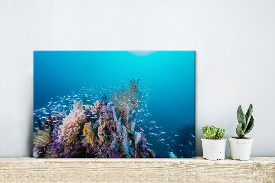Récif de corail dans une mer d'un bleu profond Toile 30x20 cm - petit - Tirage photo sur toile (Décoration murale salon / chambre)