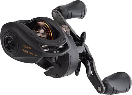 Ree -l Penn Squall - Low Profile - 200 LH - baitcastreel — afbeelding 2