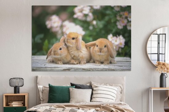 Canvas schilderij 150x100 cm - Wanddecoratie Drie hangoor dwergen op een houten ondergrond - Muurdecoratie woonkamer - Slaapkamer decoratie - Kamer accessoires - Schilderijen