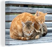 Peintures sur toile - Deux chats endormis - 160x120 cm - Décoration murale XXL /