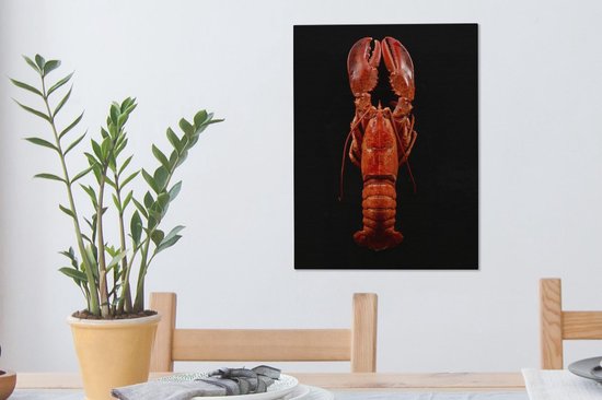 Homard cuit à la vapeur sur une toile de fond noir 2cm 30x40 cm - petit - Tirage photo sur toile (Décoration murale salon / chambre) / Animaux sauvages Peintures sur toile