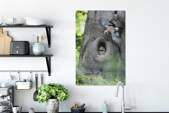 Jay avec un hibou 60x90 cm - Tirage photo sur toile (Décoration murale salon / chambre)