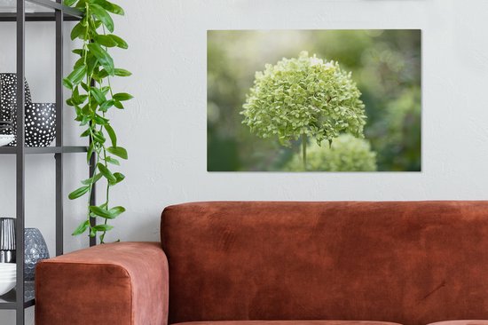 Hortensia vert sur fond délavé 60x40 cm - Tirage photo sur toile (Décoration murale salon / chambre) / Peintures Fleurs sur toile